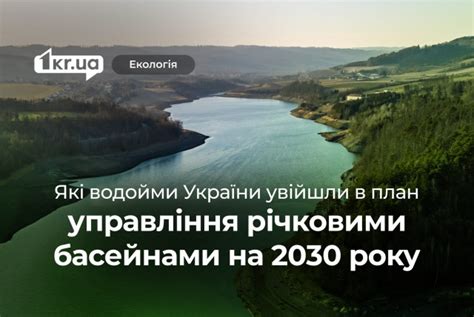 Советы по улучшению воды для роз