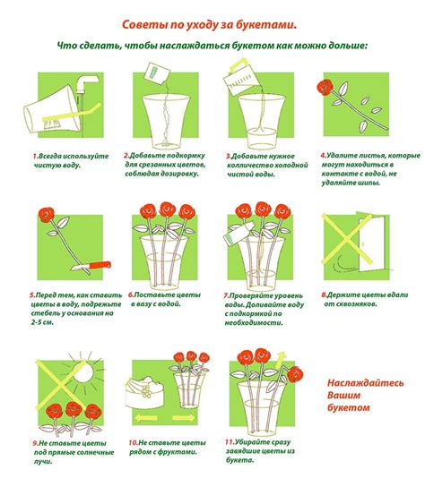 Советы по уходу за цветами, размещенными в ведре