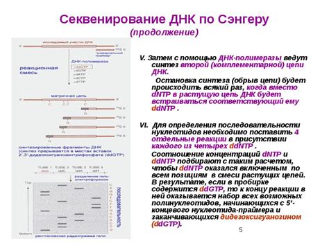 Современные технологии и методы анализа ДНК по костям