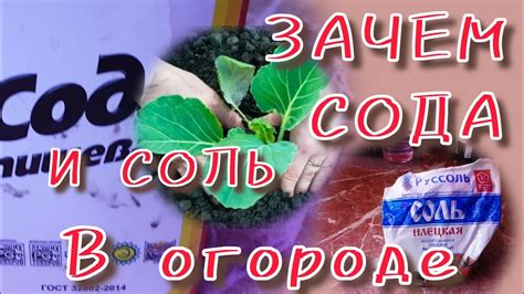 Сода при ожоге: зачем и как применять