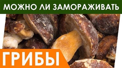 Способы заморозки грибов