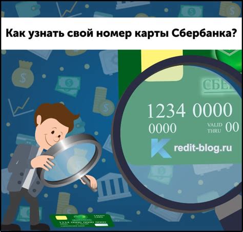 Способы узнать свой номер карты