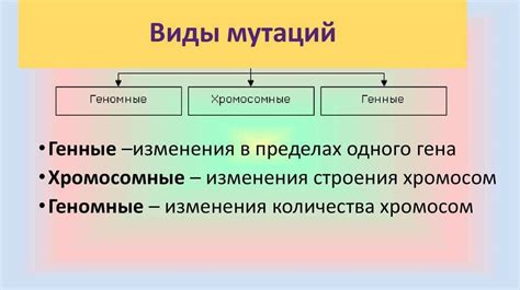 Сравнение генетического материала через исследование мутаций