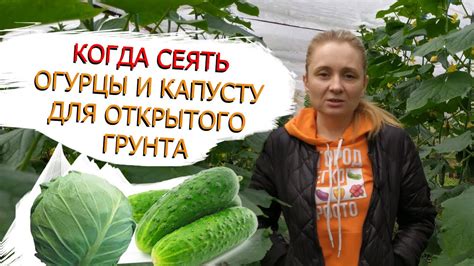 Сроки посева и выращивания