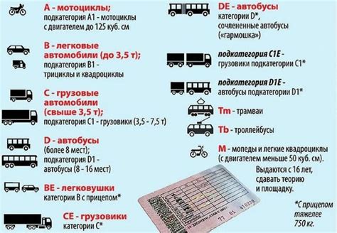 Срок действия прав, полученных по категории М