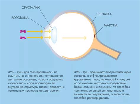 Стресс и его отрицательное воздействие на глаза