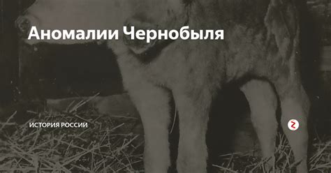 Судьбы жителей Чернобыля