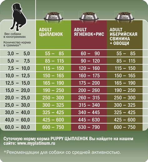 Суточная норма корма для таксы