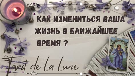 Сферы, где вас могут принять