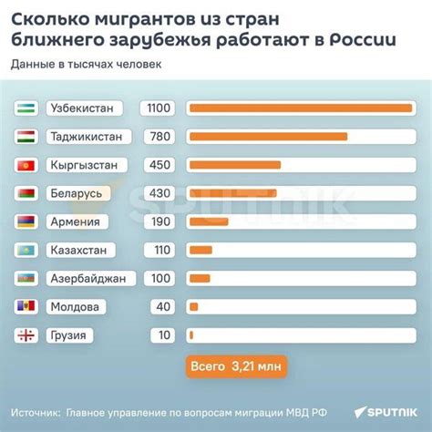 Сферы трудоустройства белорусов в России