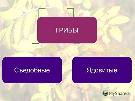 Схема когда требуется более детальное изучение вопроса