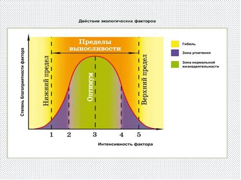 Температурные условия и их влияние на хранение