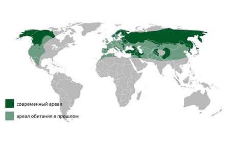 Территория обитания