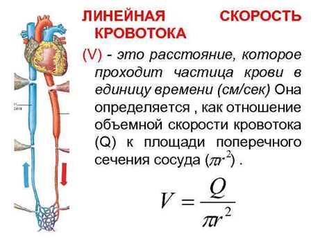 Техники заполнения сосуда