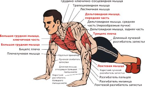 Техники разгона в спорте