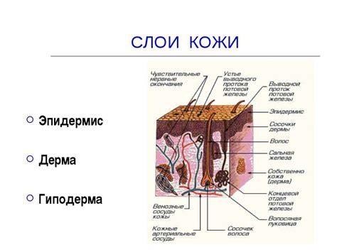 Техники соединения кожи