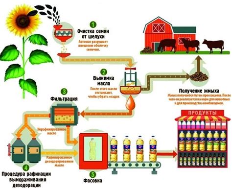 Технология производства подсолнечного масла