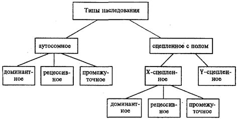 Типы наследования и их определение