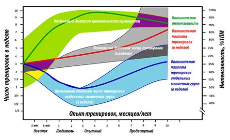 Типы тренировок и интенсивность