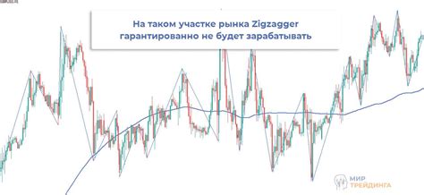 Топовые стратегии продажи урожая бобов и самые прибыльные рынки сбыта