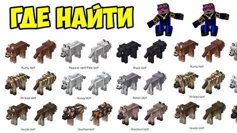 Топ 10 уникальных имен для волков в Minecraft