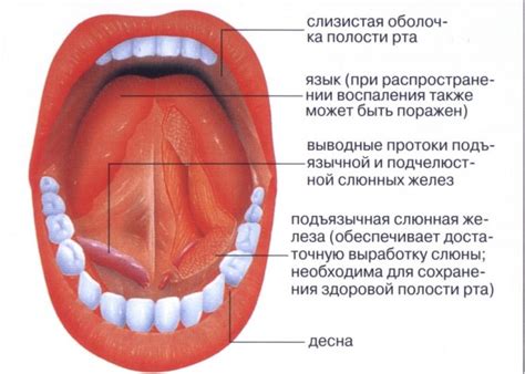 Травма и раздражение слизистой оболочки рта