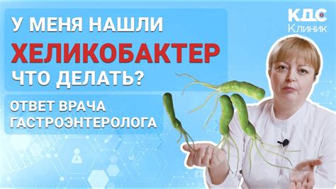 Традиционное лечение хеликобактер пилори