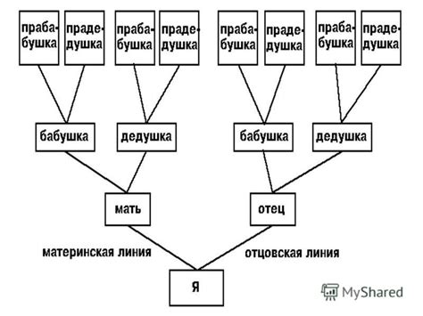 Традиционные имена: выбор на основе родословной