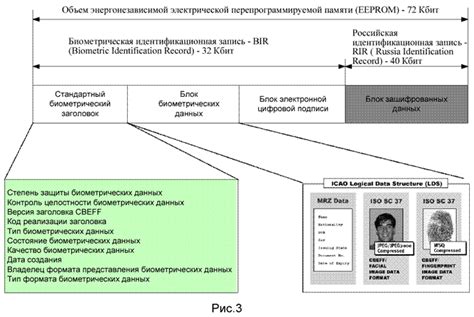 Требования к паспорту и визовым документам при пересадке