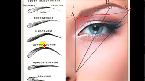 Украсьте бровь: подчеркните форму для эффектного вида скул