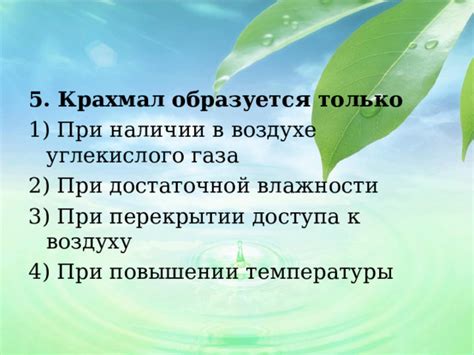 Улучшение доступа к воздуху и свету для растений