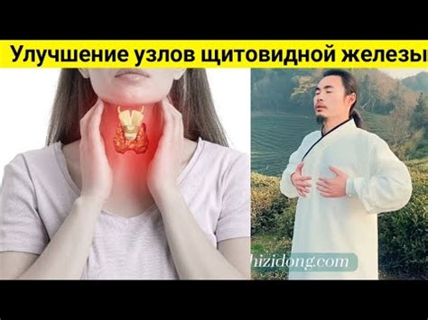 Улучшение работы щитовидной железы