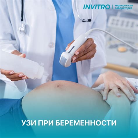 Ультразвуковое исследование на 19 неделе беременности