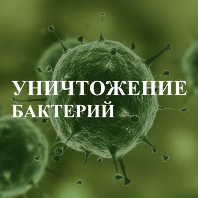 Уничтожение бактерий при бланшировке