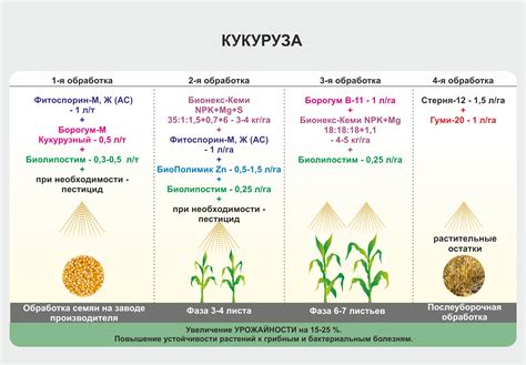 Управление поливом и орошением: основа для крепких корней