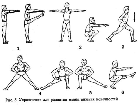 Упражнения для развития силы и гибкости ног