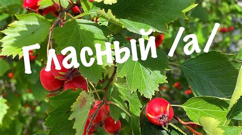 Упражнения для улучшения произношения