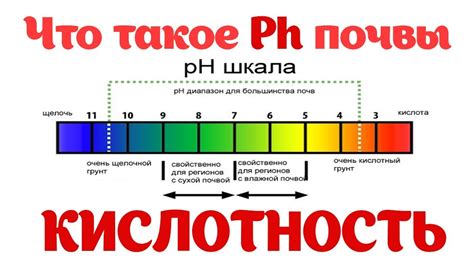 Уравновешиваем уровень pH