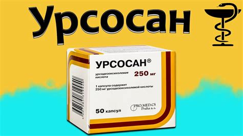 Урсосан как средство для поддержания здоровой печени