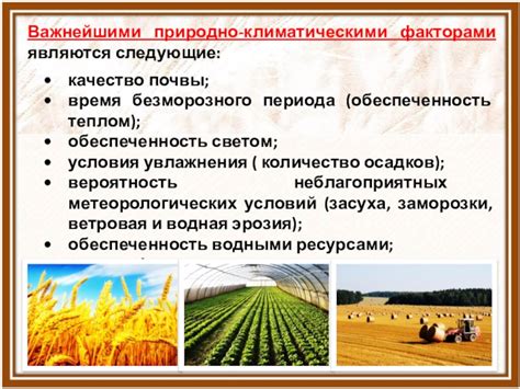 Условия, которые требуют увлажнения почвы