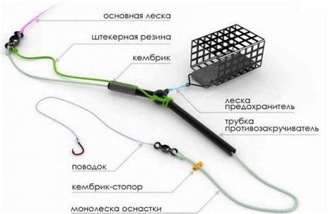 Условия для успешной рыбалки после дождя в летний период