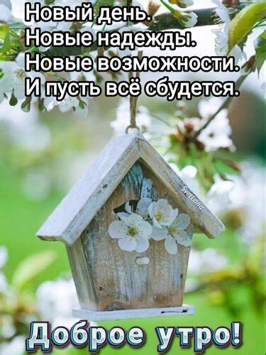 Утро: новый день, новые возможности