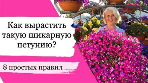 Ухаживайте за клумбой правильно, чтобы она всегда была красивой