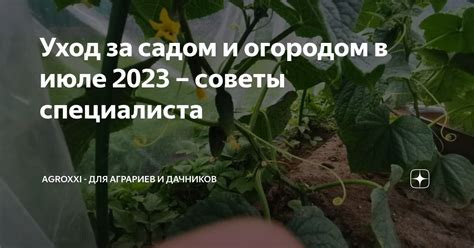 Уход за садом и огородом: советы от Юли Миняевой