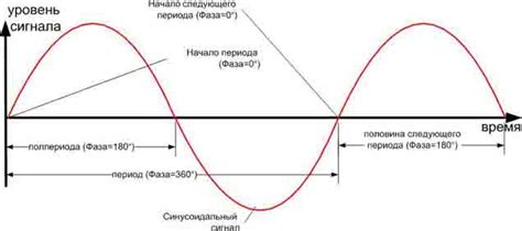 Фаза зимнего покоя