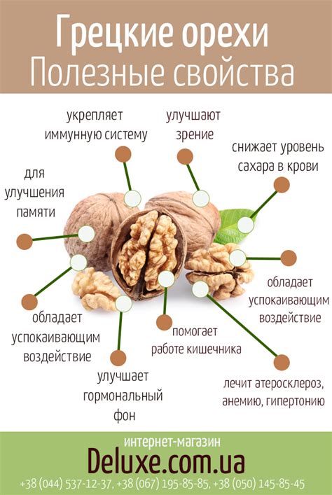 Фазы созревания грецкого ореха