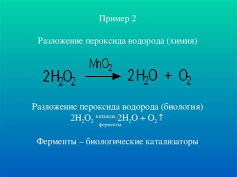 Факторы, влияющие на распад перекиси водорода