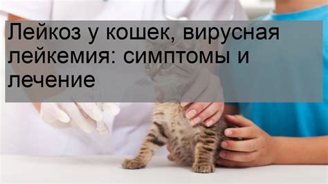 Физиотерапевтические методы лечения гноя у кошек