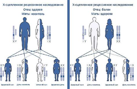 Физические признаки, указывающие на наследование