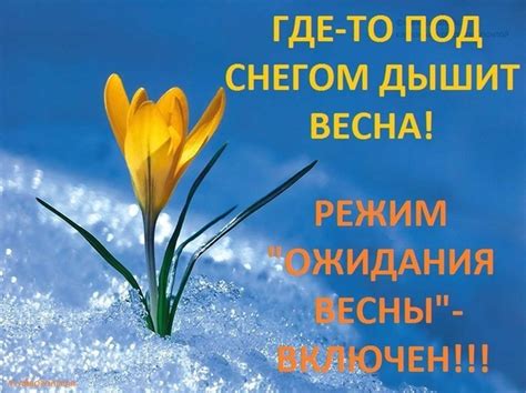 Флешмоб ожидания весны взволновал сеть